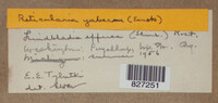 Image Associated With the Occurence